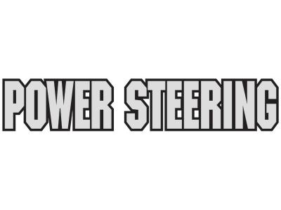 Miscellaneous Suzuki King Quad Power Steering Sticker